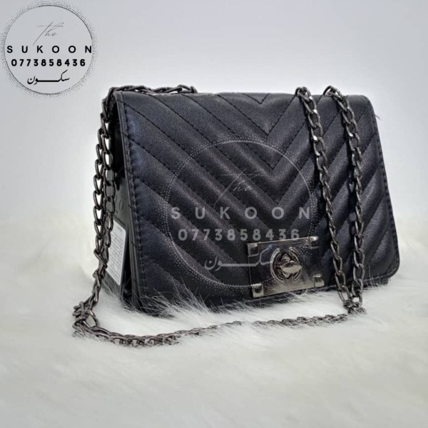 Des petits sac à main pour femme 2