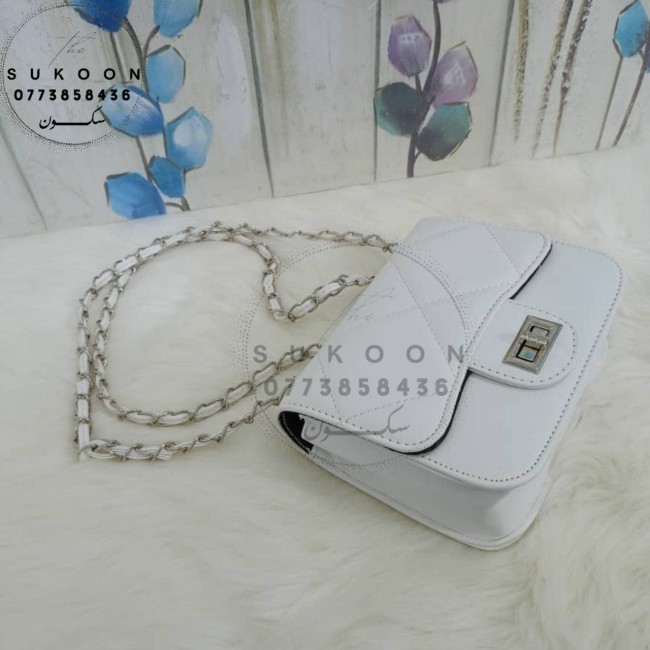 Des petits sac à main pour femme