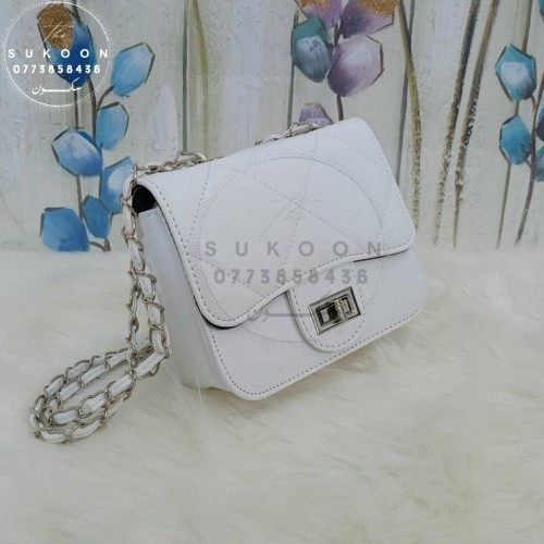 Des petits sac à main pour femme