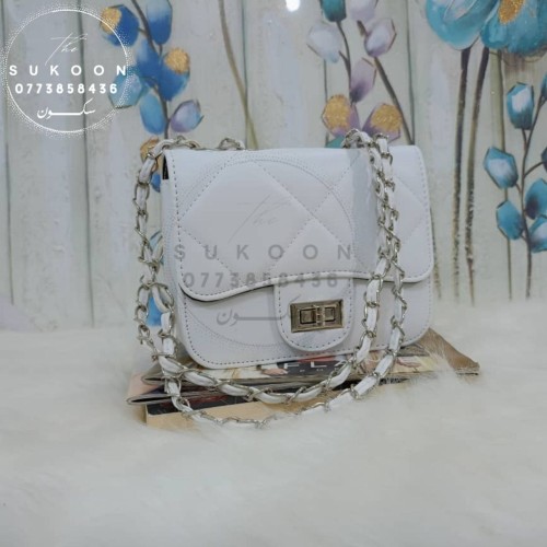 Des petits sac à main pour femme