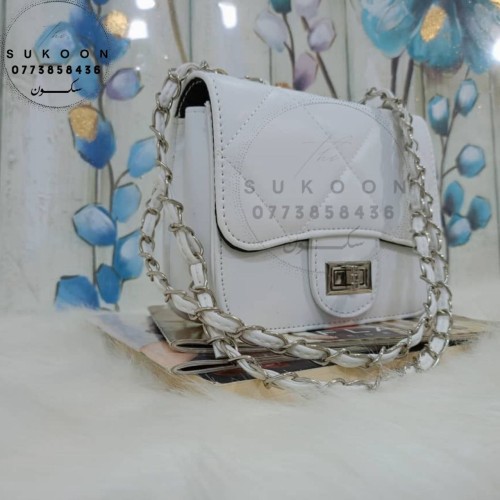 Des petits sac à main pour femme