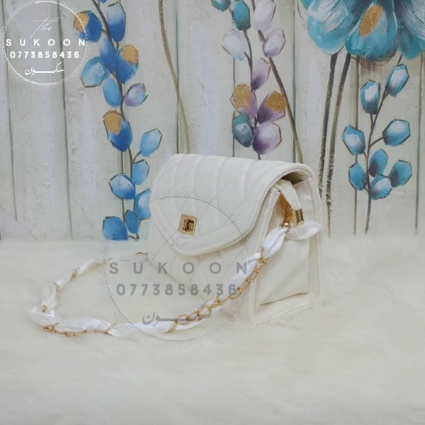 Un jolie sac à main pour les femmes 2