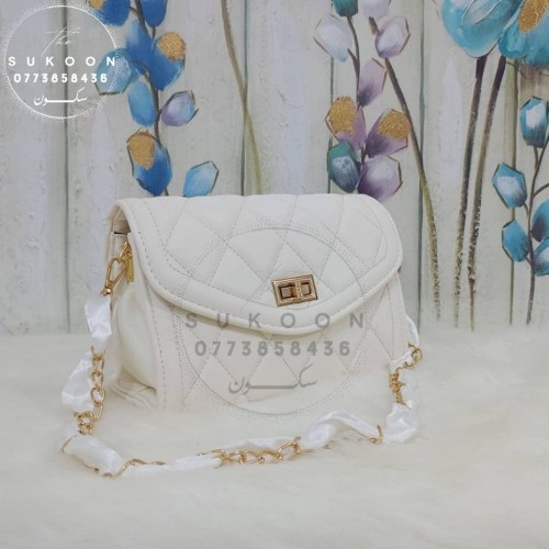 Un jolie sac à main pour les femmes