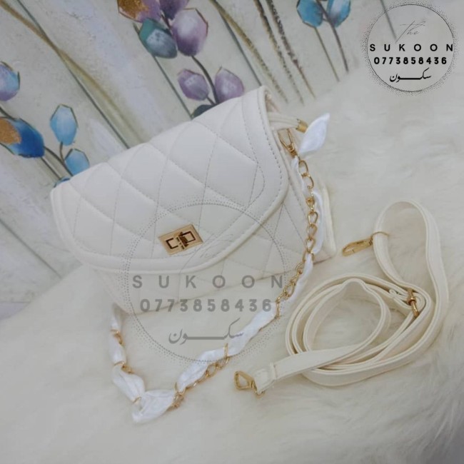 Un jolie sac à main pour les femmes