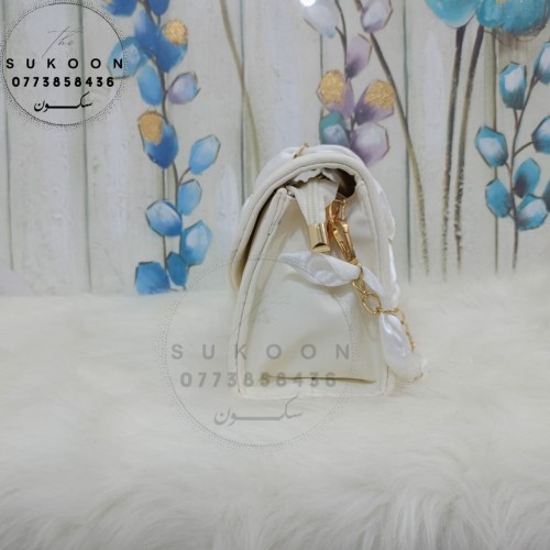 Un jolie sac à main pour les femmes